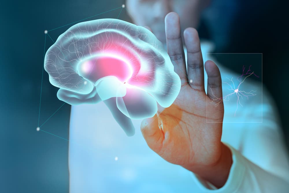 brain
